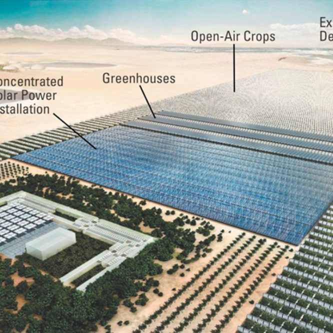 Sahara-Forest-Project